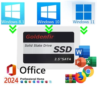 SSD 128GB 256GB 480GB 512GB 1TB Original Com Windows e Office