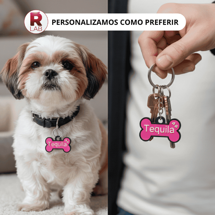 Chaveiro e Pingente de Identificação Pet Pingente Cachorro Gato Personalizado + Chaveiro combinando KIT Plaquinha
