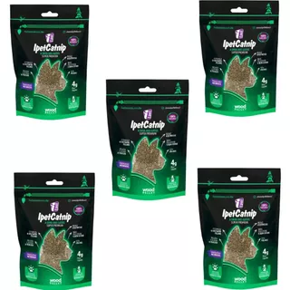 05 Catnip Erva Para Gatos Relaxante Premium- IpetCatnip 4g em Oferta na Shopee