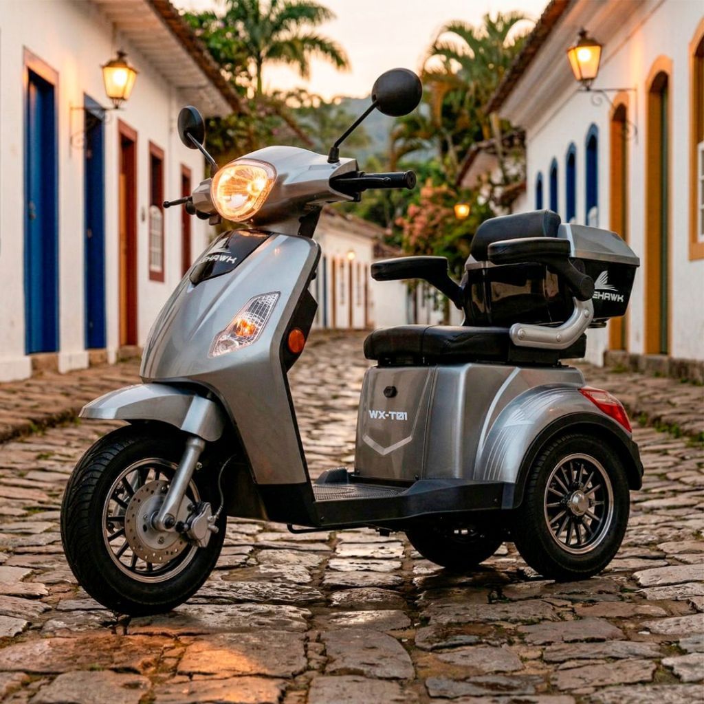 Triciclo Elétrico 800W Wehawk WX-T01 Bateria Chumbo Autonomia até 50km Autopropelido com Ré