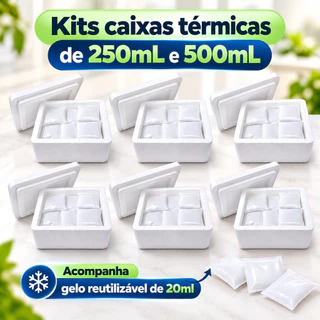 Kit Caixa Térmica 250 mL E 500 ml Com Gelo Artificial Reutilizável Transporte Remédios Alimentos Bebidas Clínicas Ampola