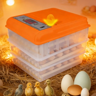Chocadeira Automática 176 Ovos Rolagem Com Ovoscópio Chocadeira Elétrica Incubadora Fonte De Alimentação Dupla Naranja em Oferta na Shopee