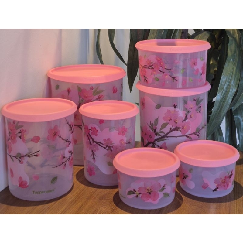 mágica da tupperware em Promoção na Shopee Brasil 2026