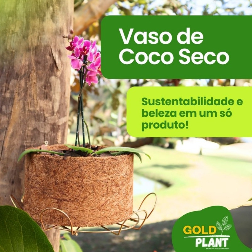 Vaso De Fibra De Coco 25cm N° 4 Xaxim Orquídea Plantas 1, 2 ou 3