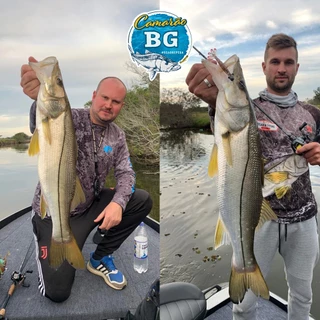 Shad BG 6,5cm Peixinho Artificial (ultra light)