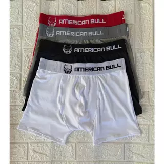 Kit 4 cueca boxer masculina adulto box premium confortável