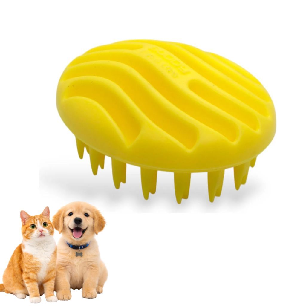 buddy dog em Promoção na Shopee Brasil 2026