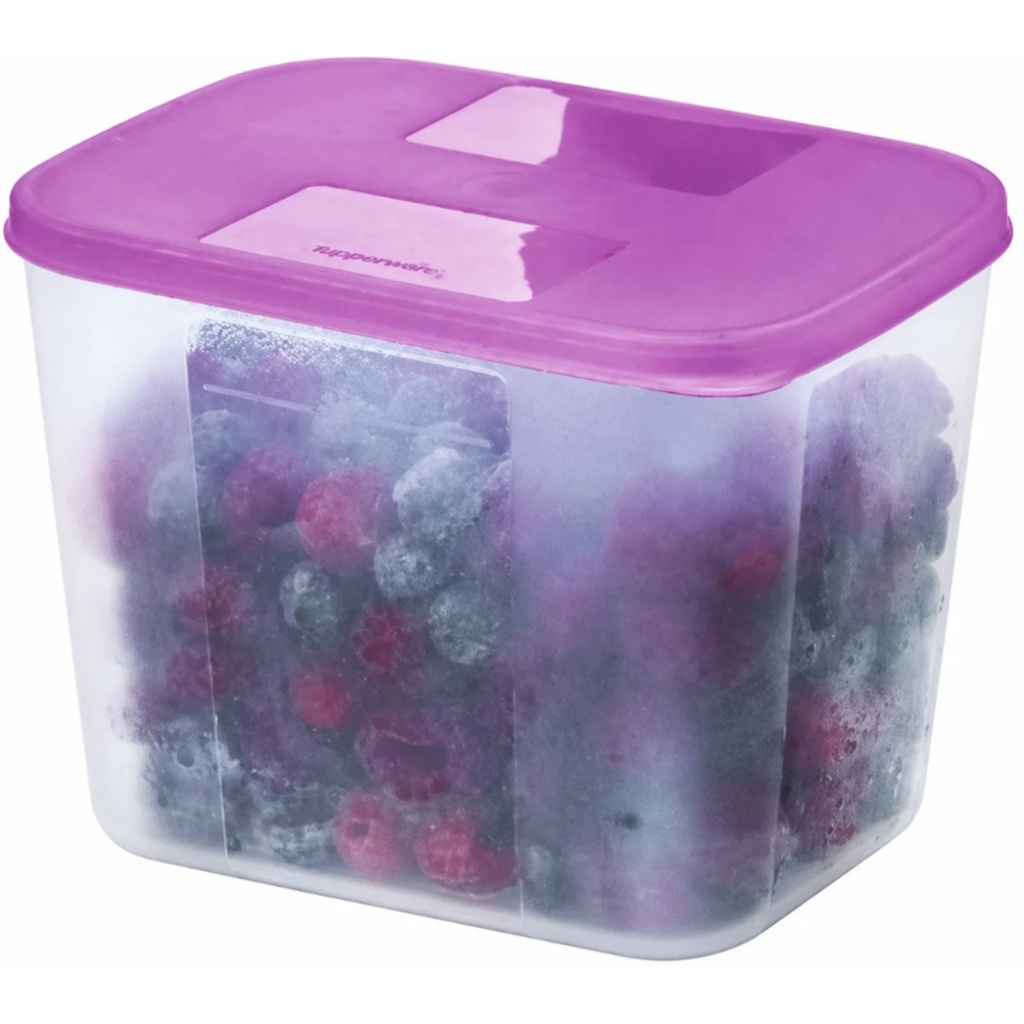 Tupperware Original Freezer Mate 1 litro - Diversas | Shopee Brasil