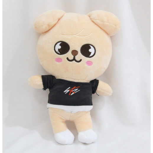 Pelúcia Skzoo 25cm Stray Kids Cartoon Antialérgico Kpop Wolf Chan