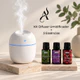 Kit Umidificador Aromatizador com 3 Essências Hidrossolúvel | Difusor De Ar Egg | 3 Essências