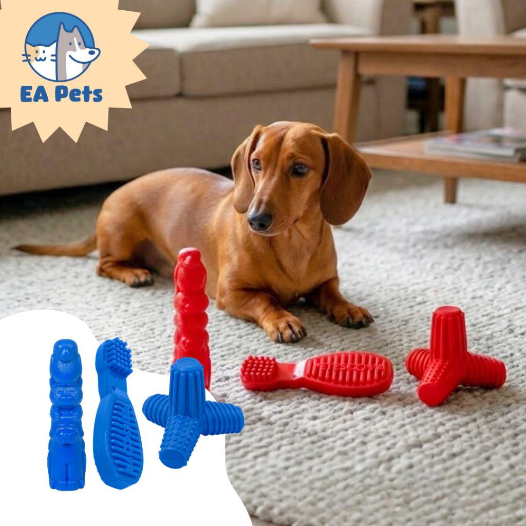 Kit 3 Mordedores Nylon Pet Games 4Dogs Totem