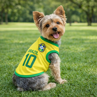 Roupinha Pet Brasil Camisa Copa do Mundo Nº10 Roupa para Cachorro e Gato Torcida