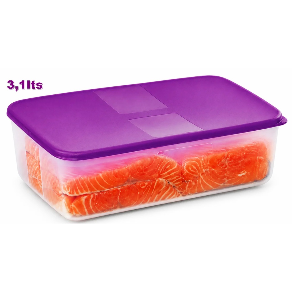 Tupperware Original Freezer Mate 3,1 litros - Diversos | Shopee Brasil