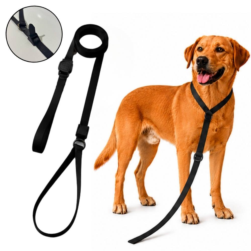 Guia Unificada Para Cães Adestramento Enforcador Ajustável 1,8m Para ...