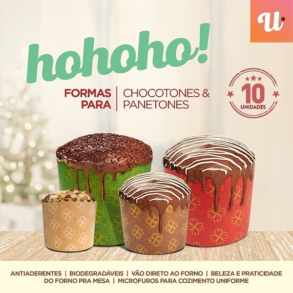 Forma Para Panetone e Chocotone Forneável 500g com 10 Und - 