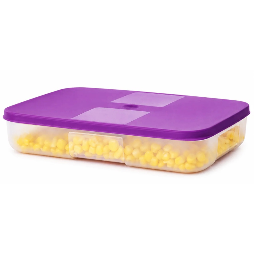 Tupperware Original Freezer Mate 3,1 litros - Diversos | Shopee Brasil