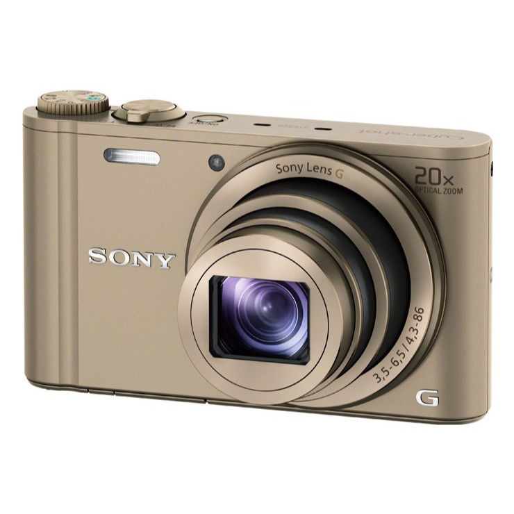 Sony Cyber-shot DSC-WX300 Câmera Digital 21.1MP Zoom 20x 5 Cores