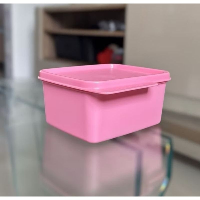 rosa da tupperware em Promoção na Shopee Brasil 2026