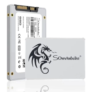 SSD 256GB SATA 3 2.5" para PC e Notebook | Alta Velocidade | No Brasil