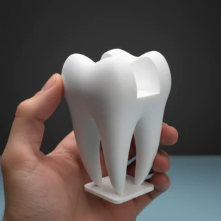 Porta Cartão De Visita Dente Molar Dentistas Odontologia