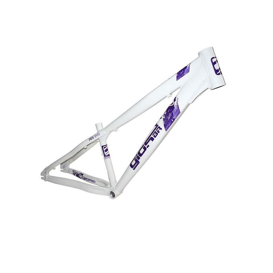 Quadro 26 Gios FRX-Evo Freeride Downhill Bike Grau Bicicleta Dirt