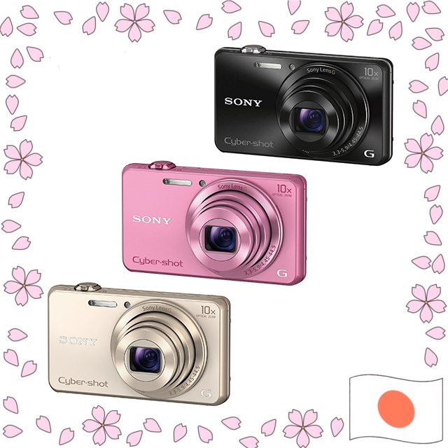 Câmera Digital Sony Cyber-shot DSC-WX220 18.2MP Zoom Óptico 10x Wi