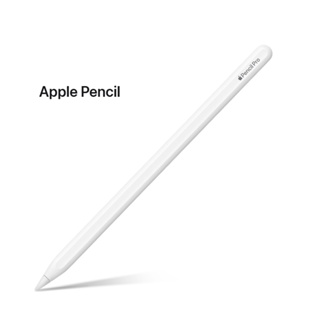 【Apple純正】Apple Pencil type-c Comprar Apple Pencil (USB-C) - Educação - Apple (BR)