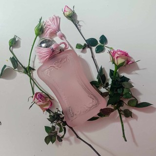 Delina Perfume 75ml em Promoção na Shopee Brasil 2026