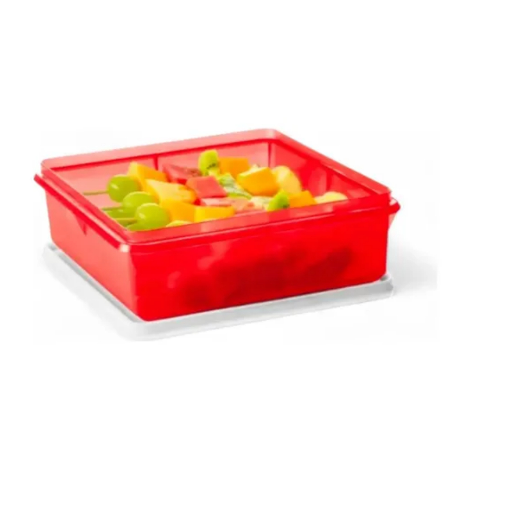 Tupperware Caixa Versátil 2,5 Litros | Shopee Brasil