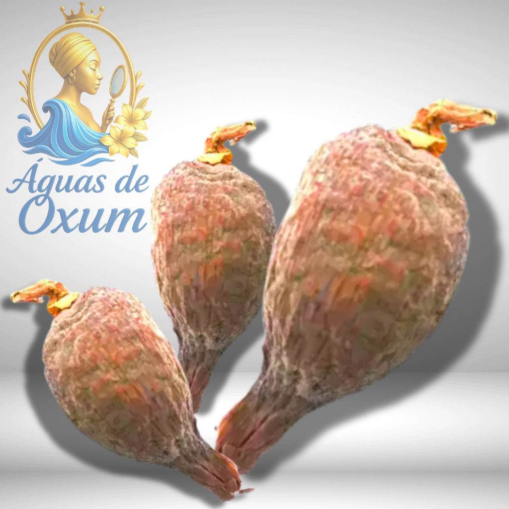 Fava de Ataré - Uso Ritualistico Umbanda e Candomblé | Shopee Brasil