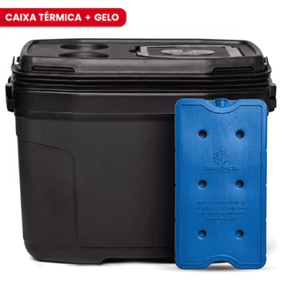 Caixa Térmica 20 Litros com Gelo Artificial Reutilizável Cooler 26 Latas - Primeplas