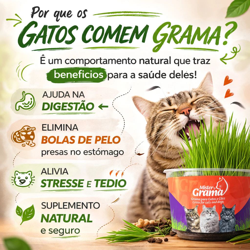 grama para gatos com tela protetora
