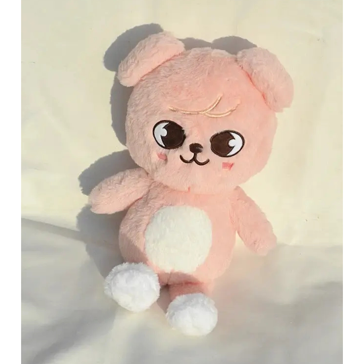 StrayKids SKZOO ポラロイド チャンビン StrayKids SKZOO ポラロイド