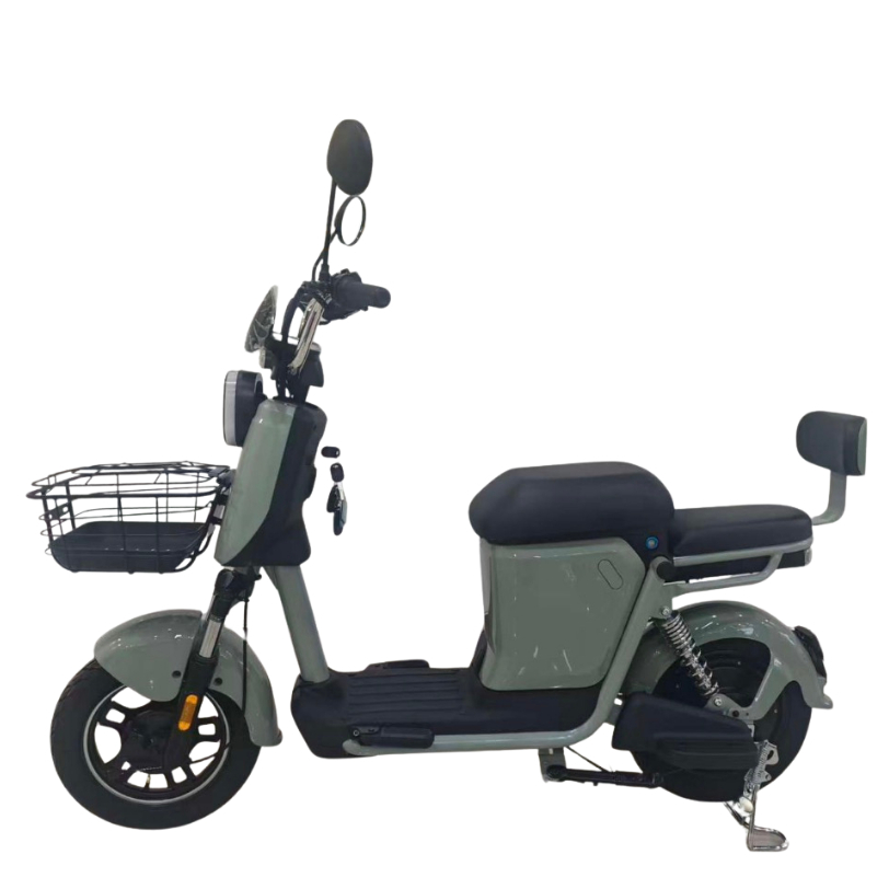 Scooter Elétrica Panda PD-Z1 800W | Até 200kg | Resistente à Água