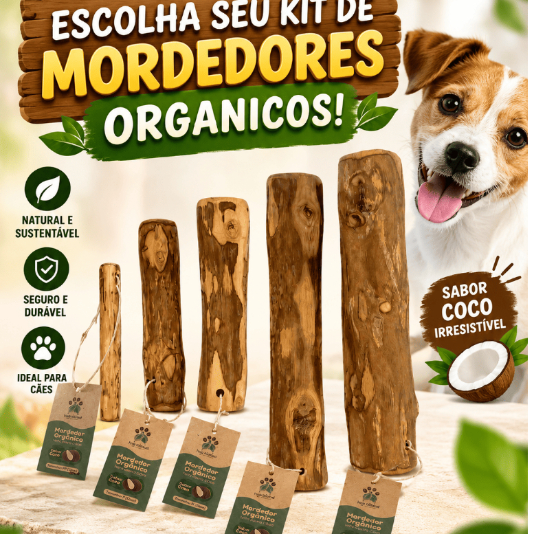Kit 2 mordedores orgânicos de café - Cães