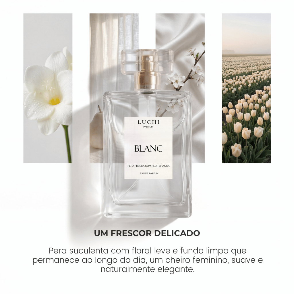 Perfume Feminino Blanc Luchi Parfum (Aroma importado) - Alta