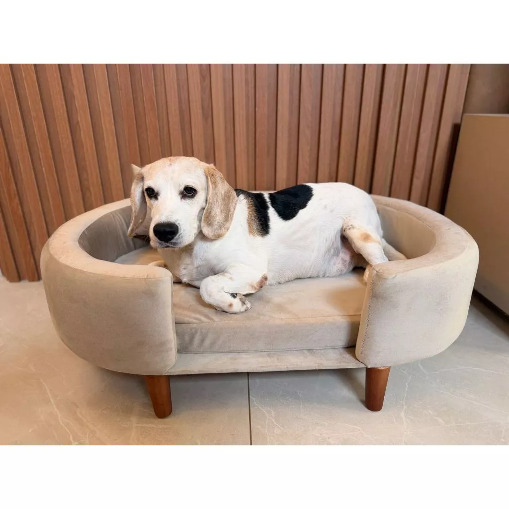 Poltrona Sofá Cama Pet Luxo