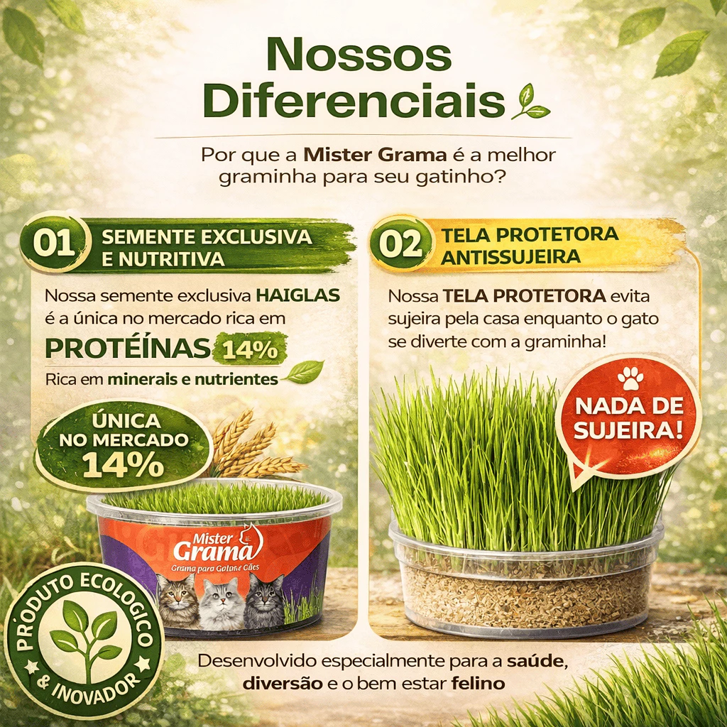 kit grama para gatos com sementes e substrato