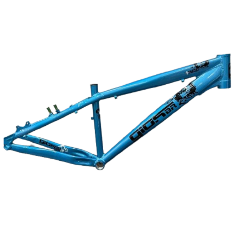 Quadro 26 FRX Evo 4-Trix Wheeling Gios Bike Dh | Dirt | Grau