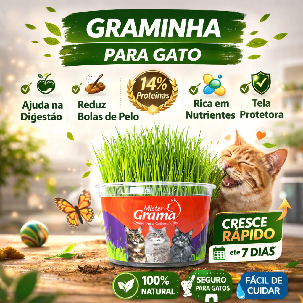 grama mister para gatos cultivo doméstico