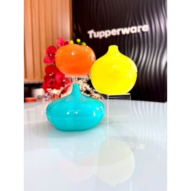 Tupperware Porta-Alho, Porta-Cebola e Porta-Tomate | Shopee Brasil