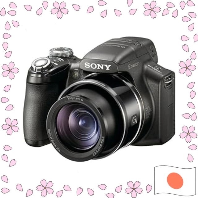 Sony Cyber-shot DSC-HX1 Câmera Digital 9.1MP Zoom Óptico 20x Zoom