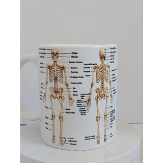 Caneca Medicina Anatomia Sistema Esquelético e Muscular 325 ml Porcelana