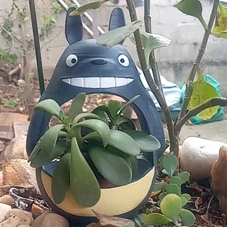 Vasos para suculentas / plantinhas - Totoro