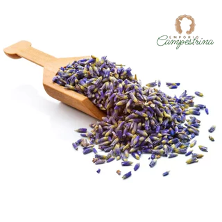 Alfazema Azul Lavanda Blue PREMIUM Erva Natural 10gr
