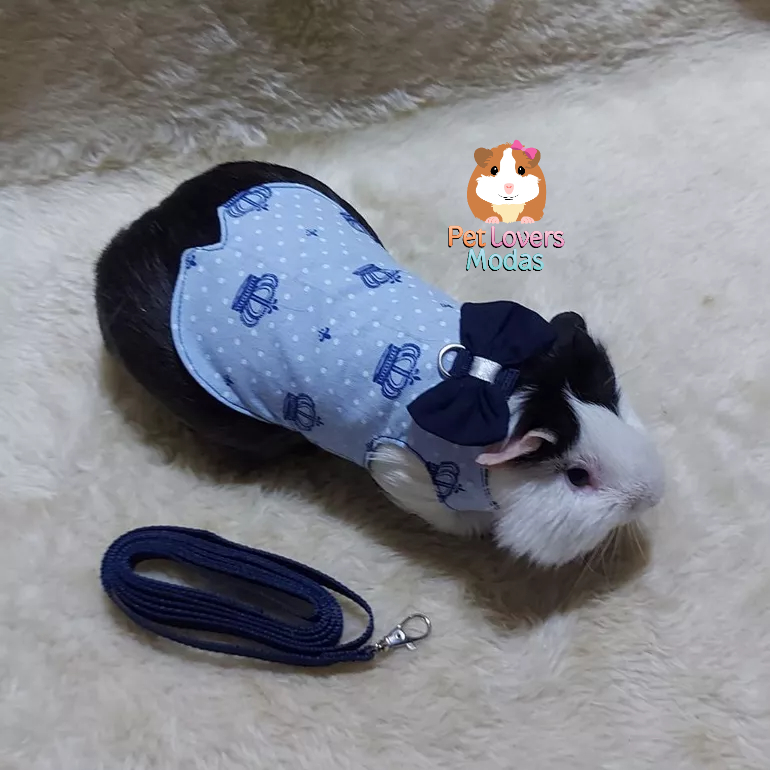 roupa pet peitoral passeio para porquinho da índia macho acompanha guia ...