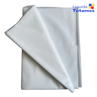 TNT (Tecido Não Tecido) - 40g Branco (3 metros x 1,40cm). em Oferta na Shopee
