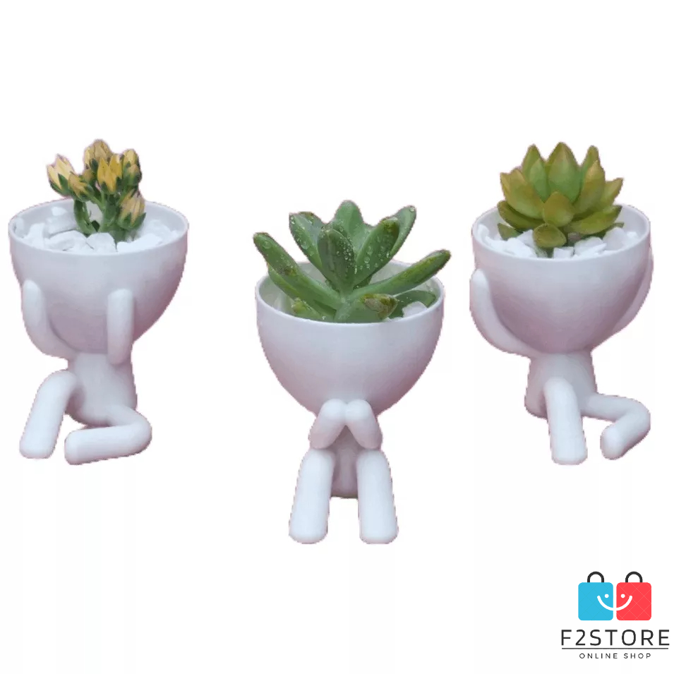 cactos em vasos isolados no fundo branco. cacto com vasos de terracota para  decoração de interiores em estilo cartoon. conceito de planta de casa  natural. ilustrações, ícones e design de interiores lisos