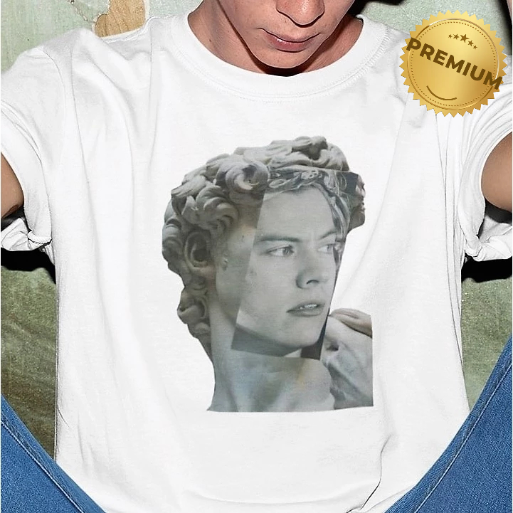 Camiseta Harry Styles One Direction Unissex Premium