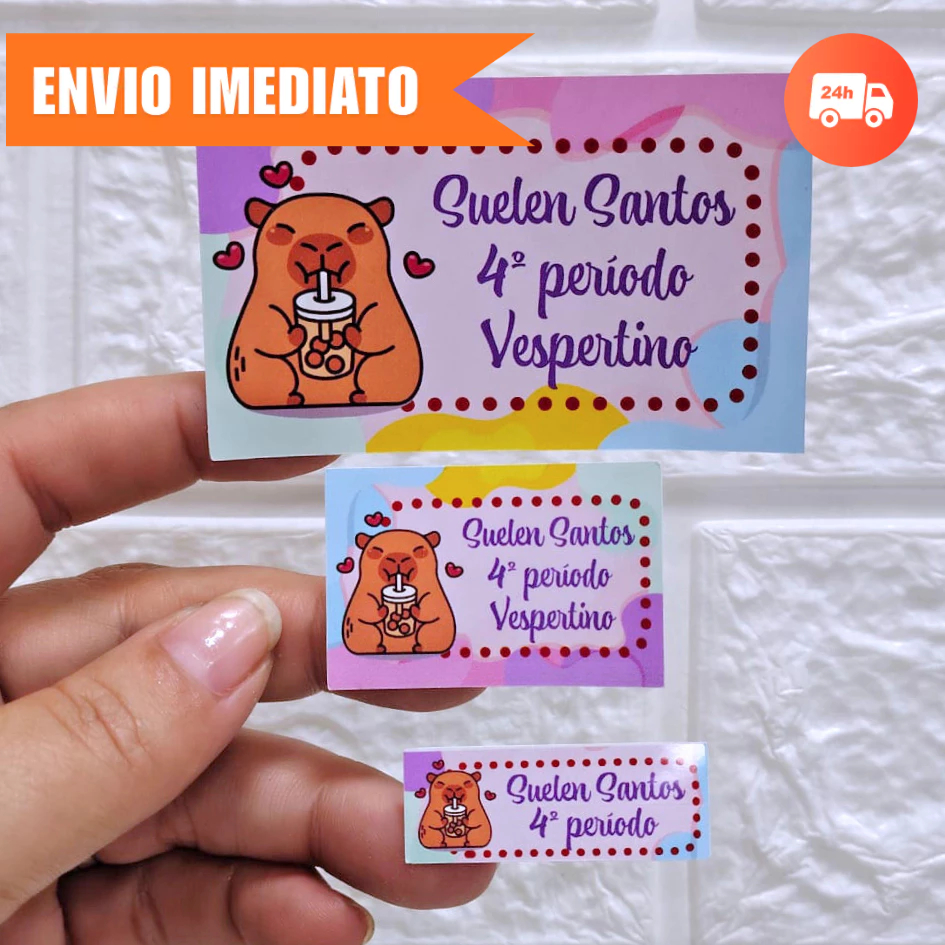 112 Etiquetas Escolares Personalizadas Todos os Temas Menina ou Menino Vinil à Prova d’Água